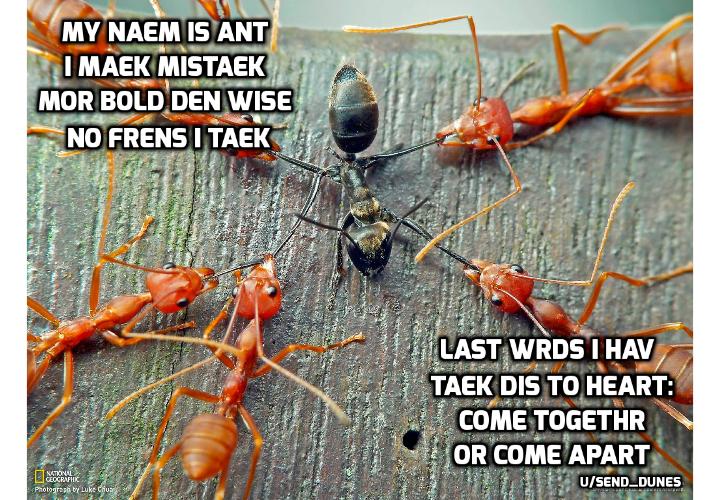 center for ants meme