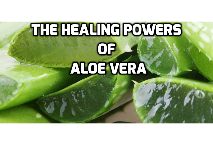 Revealing Here The Amazing Healing Benefits Of Aloe Vera Anti Aging Beauty Health And Personal 6268