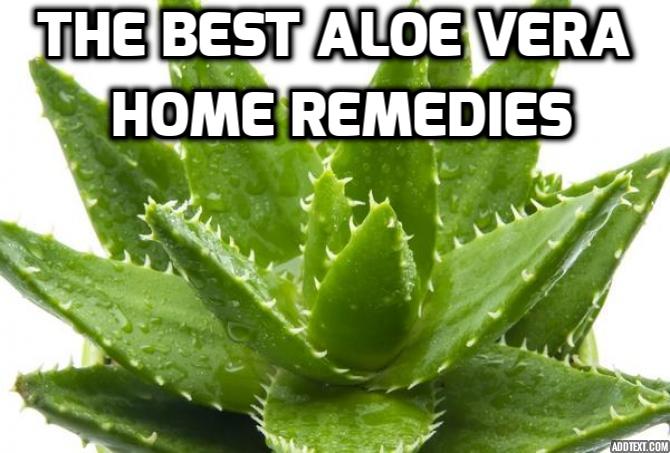 Revealing Here the Best Remedies Using Aloe Vera - REMEDIES USING ALOE VERA - NATURAL HOME REMEDY TREATS CANKER AND COLD SORES -  New reports prove that the aloe vera plant, which has been used to heal skin for more than 2,000 years, can also treat many oral health problems including canker sores, cold sores, herpes simplex viruses, lichen planus and gingivitis. Read on to find out more.
