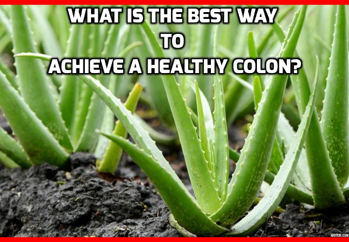What is the Best Way to Achieve a Healthy Colon? If you have a really healthy colon, you should find yourself having regular bowel movements once or twice a day and your stools should pass easily with minimal amounts of strain. If you find yourself stopped up for more than two days at a time and needing the fortitude of an Olympic body builder in order to pass your stools, then the chances are you have a compacted colon. In order to help rectify the problem, you might want to look into colon cleansing to see if this can help maintain a healthier colon.