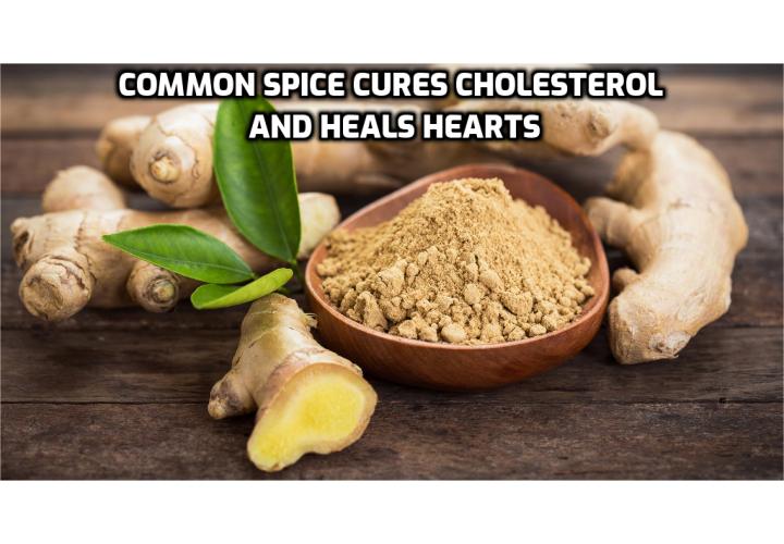 What is the Best Way to Cure Cholesterol and Heal Heart? Common Spice Can Cure Cholesterol and Heal Heart -This powerful spice has been proven to lower cholesterol, improve blood pressure and inflammation, and even cure the common flu. But you need to use it in a specific way or it’s basically useless.