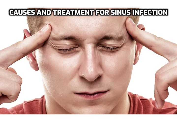 What are the Causes and Treatment for Sinus Infection? The treatment for sinus infection includes antibiotics, use of nasal sprays, inhaling steam from a vaporizer, intaking hot fluids, applying a paste of cinnamon with water, or ginger with milk, or basil leaves mixed with cloves and dried ginger.
