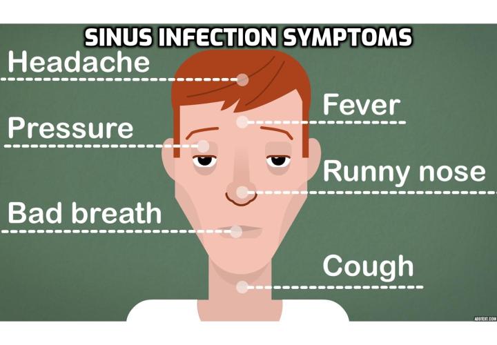 Revealing Here the Common Sinus Infection Symptoms and Antibiotics for Sinus Infection  -  Sinus symptoms may also depend on which one of the sinus cavities are affected. Some patients complain of pain in the head and on the side of their nose. Some complain of pain in the upper teeth which increases when the person bends down. Pain in the entire face and a slight swelling is also observed when more than one cavity is affected.