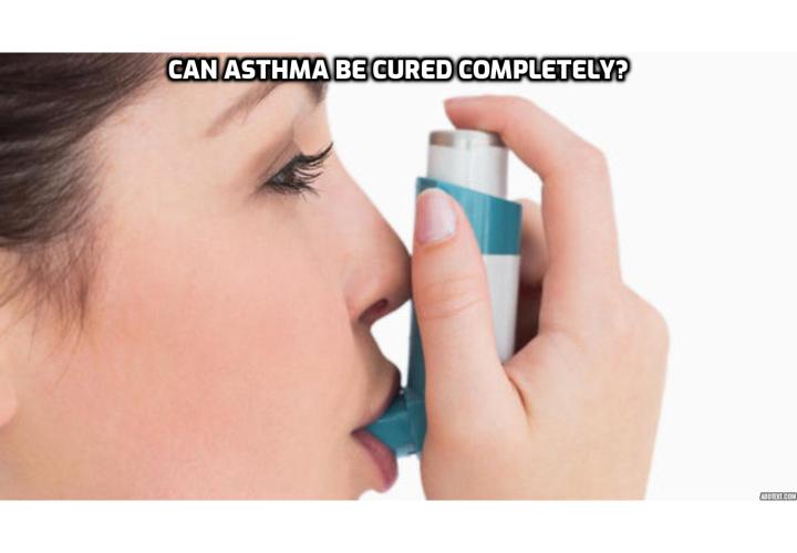 Cure Asthma – Can Asthma Be Cured Completely? Cure Asthma - If for a normal person mites are just annoying, for asthma sufferers they are quite dangerous, as they are one of the most powerful allergens which trigger asthma attacks. Thus, if you are an asthmatic or have inside your house someone who is, it is absolutely necessary to get rid of all the dust mites as soon as possible and keep them away from your home for ever.   