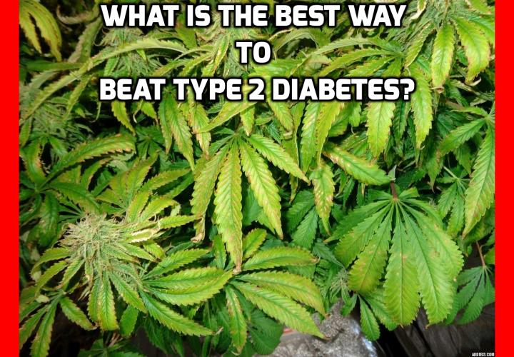 What is the Best Way to Beat Type 2 Diabetes? An Illegal Way to Cure High Blood Pressure and Beat Type 2 Diabetes - A new study from the University of Miami’s Leonard M. Miller School of Medicine revealed a substance that lowers blood pressure and improves type 2 diabetes by a whopping 40%. Read on to find out more. 