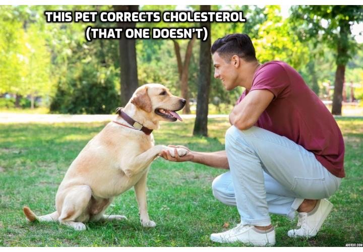 What is the Best Way to Remove ALL Cholesterol Build-Up in Your Arteries?  Remove ALL Cholesterol Build-Up in Your Arteries - This Pet Corrects Cholesterol (that one doesn’t). Several studies throughout the decades have proven that pets can improve stress levels and overall well-being. But can pets improve cholesterol levels? Yes, but only this one type of pet, says a new study published in the journal Mayo Clinic Proceedings: “Innovations, Quality & Outcomes”.