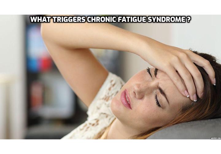 Relief of Chronic Fatigue Syndrome – What Triggers Chronic Fatigue Syndrome?  Relief of Chronic Fatigue Syndrome – The medium chain fatty acids in coconut oil are absorbed quickly by the tissues and converted into energy, people suffering from chronic fatigue would gain a great deal of benefit when they take coconut oil in their diet. 