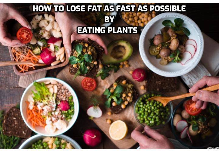 How to Lose Fat as Fast as Possible by Eating Plants - There is a right way to do it, and a fast one at that. In this article, we’ll get down to the details of a how a reduced carb, high-protein diet can help you lose fat without the usual hunger pangs you experience with most low-carb regimens.