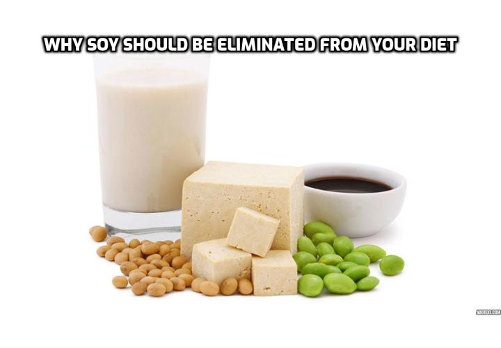 Why soy should be eliminated from your diet? Contrary to popular belief, soy isn’t truly a health food. In fact, soy can be harmful to the body because it contains dangerous anti-nutrients and toxins. Scientific studies reveal that high levels of soy consumption can actually be unhealthy. Here, you will find 10 good reasons to avoid soy products.