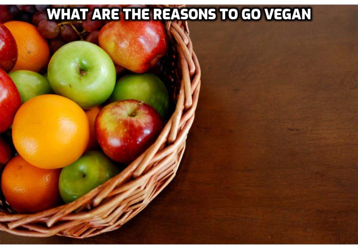 Why go vegan? A vegan diet produces half as much CO2 as an American omnivore (plant- and animal-based diet), one-eleventh the amount of fossil fuels, one-thirteenth the amount of water use, and one-eighteenth the amount of land use. 
