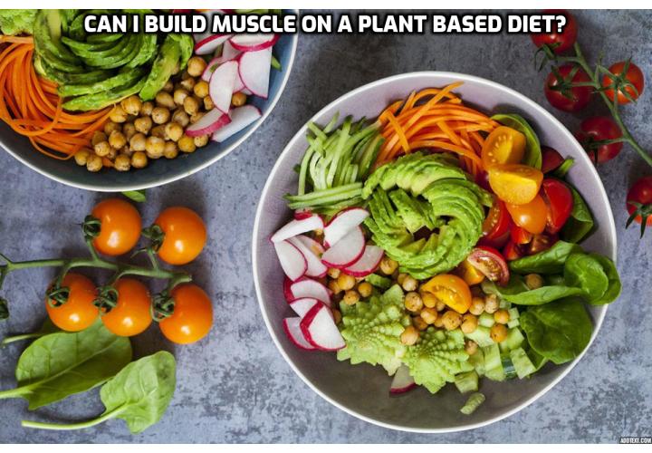 James H. Hatchel, III, a personal trainer, shared about the path that led him to plant-based fitness, his sample meal plan for building muscle, training regiment, tips for success in fitness and advice for someone who wants to try a vegetarian diet.