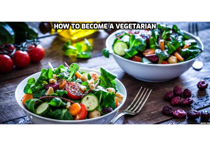 Vegan Diet Tips for Beginners - How to Become a Vegetarian? What can I eat as a vegetarian?  Outline of a vegetarian bodybuilding meal plan. Tips to gradually transition to a vegetarian diet.