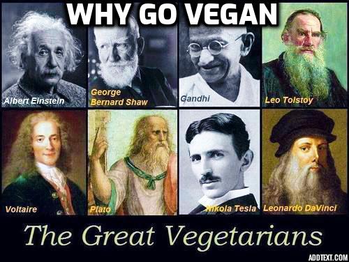 PLANT-BASED FITNESS, NOT JUST BECAUSE IT’S HEALTHY. In this article I want to illuminate another valid reason to consider if you haven’t already … how animals are being treated and medicated for the purposes of our consumption.