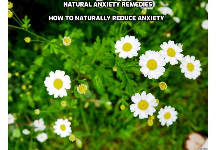 Natural Anxiety Remedies – How to Naturally Reduce Anxiety? Read on to learn more about Barry McDonagh’s Panic Away program, which is designed to help people deal with their anxiety and panic attacks.