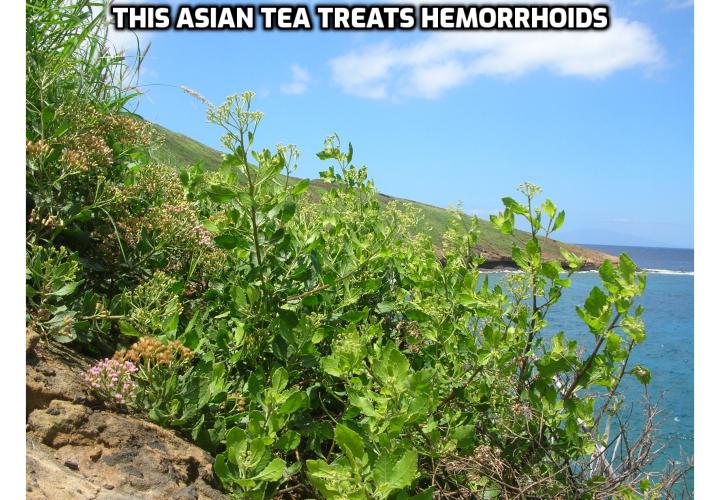 What is the Best Way to Get Rid of Your Hemorrhoids for Good? Hemorrhoids are horrible. And the traditional treatment for it can be even worse. So, a new study published in The Srinagarind Medical Journal is welcoming. It reveals that a specific Asian tea can drastically improve, even eliminate hemorrhoids in days.