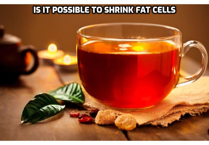 Belly Fat Tea - What if I told you that there is a way to physically shrink your fat cells? Countless products and diet plans have promised as much, and more. But I am about to reveal the method that has worked wonders for hundreds of people worldwide pursuing fat reduction.