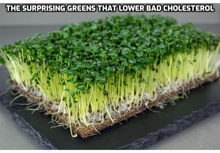 Normalize my cholesterol and unblock my arteries - Green vegetables have always been the underdogs when it comes to vegetable consumption, and they’re typically pushed to the side of the plate, but there’s a new green in town that is gaining popularity. Scientists from the Department of Nutrition and Food Science at the University of Maryland recently published a study showing how powerful these tasty greens are – especially for your cholesterol level – and the best time to eat them.