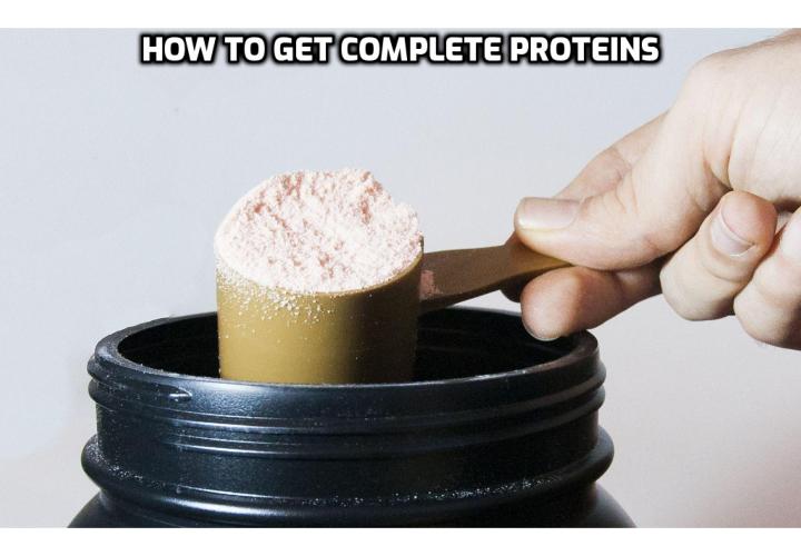 Protein powder can be a great ally in this journey bodybuilding and athleticism. In this article, we wanted to make things easier for you and break down the best vegetarian protein powders. Read on to find out more.