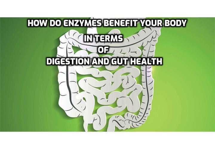How do enzymes benefit your body? Enzymes help your body combat ailments, digest food, assimilate nutrients, and more. In fact, they are needed in order for you to perform basic survival activities including breathing, moving, and thinking.