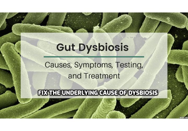 Treat Gut Dysbosis – If you want to truly correct your dysbiosis, then you must first create an inhabitable environment for the beneficial bacteria to flourish.
