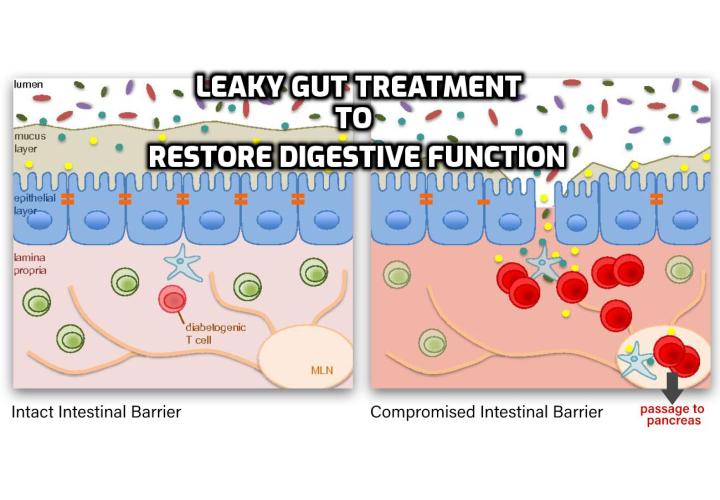 Are you not getting any answers from your doctor to questions you have about your leaky gut symptoms? Here is the 4 steps leaky gut syndrome treatment process to improve your digestive function.