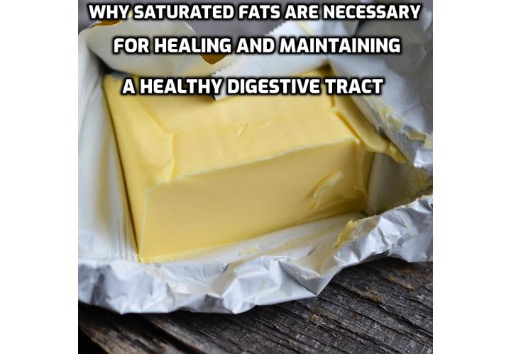 Why saturated fats are necessary for healing and maintaining a healthy digestive tract? What kind of saturated fats to eat and what kind of saturated fats to avoid?