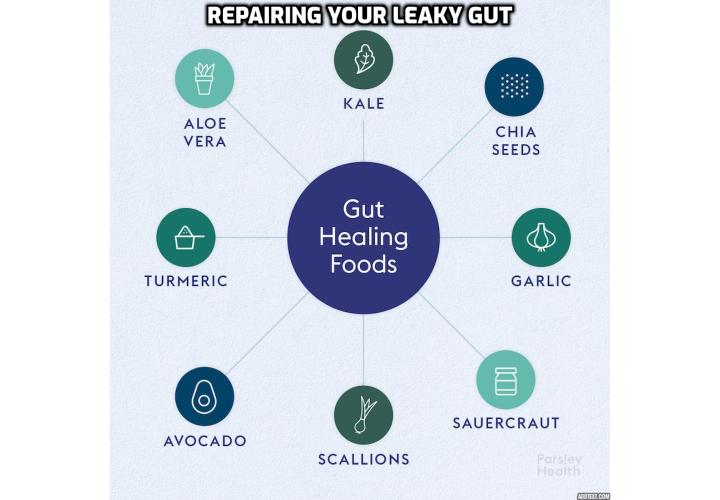 Repairing Your Leaky Gut - If you are suffering from leaky gut syndrome, you need to supply your gut with all of the nutrients that it needs, it will have all the necessary building blocks to repair the cells that line your intestinal wall. So, here are 4 easy ways to nourish your leaky gut.