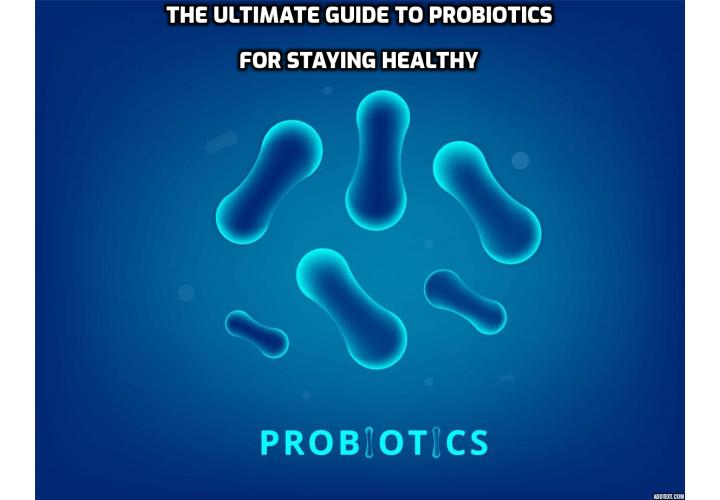 Guide to Probiotics - Probiotics are the “good” bugs your digestive system needs to thrive. Are you getting enough to counterbalance all your bad bacteria? Read on to discover the how probiotics work, why you should include these “good bacteria” in your diet, and the best sources of probiotics that can keep your microbiome healthy.