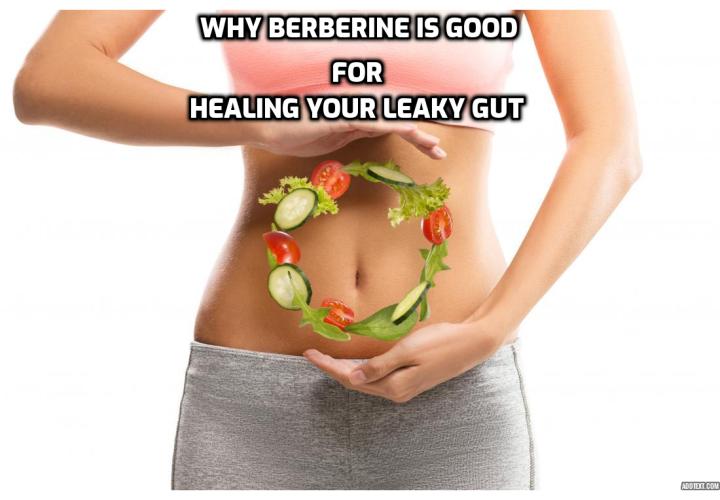 Why Berberine is Good for Healing Your Leaky Gut?
