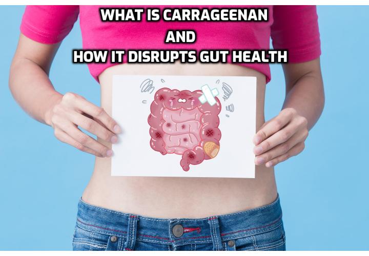 What is carrageenan and how it disrupts your gut health. You might be eating this gut-disrupting additive every day. Here’s how to identify carrageenan, and why you want to avoid it.