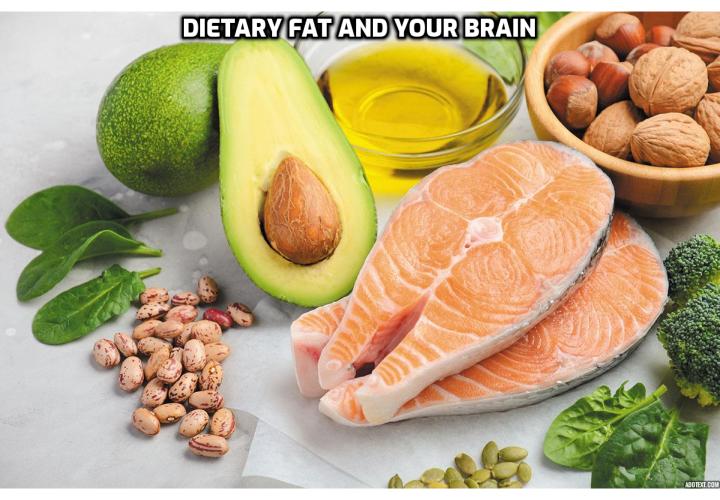 Dietary Fat and Your Brain – What You Need to Know. Your brain needs dietary fat thrive. Here’s why it’s so important – and what happens when it doesn’t get enough.