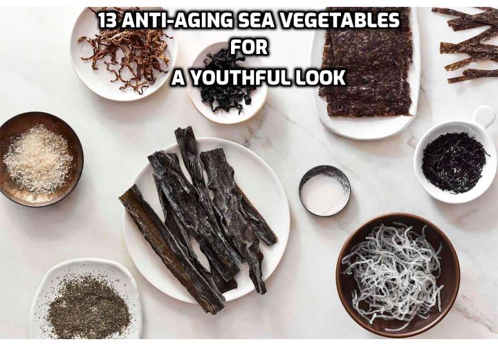 Have you ever noticed how young and beautiful the people of Japan are? If you examine the Japanese diet you will notice sea vegetables are a staple part of their diet. After careful consideration and investigation, I found that many other icons of health and beauty, such as Donna Gates of Body Ecology, recommend these miraculous foods. Here are 13 anti-aging sea vegetables for a youthful look.