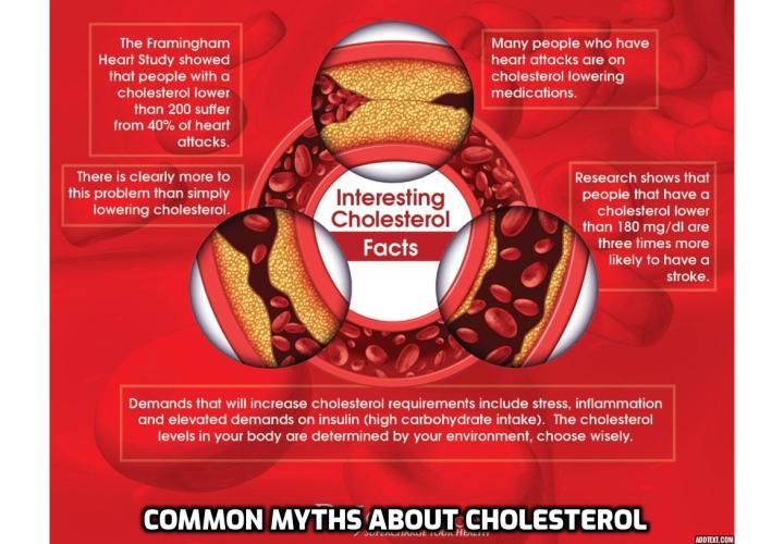 Is there a link between cholesterol and heart disease? Is dietary cholesterol a huge problem? Should cholesterol-reducing drugs be considered essential for wellness? Will excess cholesterol lead to an early death? Read on for some of the most common myths about cholesterol and heart disease.