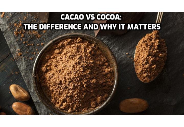 Cacao vs Cocoa: The Difference and Why It Matters. Chocolate is a delicious treat. That’s simple enough. What’s not so simple, though, is figuring out the difference between “cocoa” and “cacao.” If this has you scratching your head, you’re not alone.