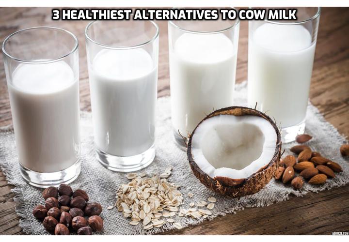 If you’re struggling to give up dairy and make the switch to Paleo, we’ve got a list that’ll ease your worries. From luscious and rich coconut milk to nutty and mild nut and seed milks to tangy camel milk, we’ve got here the 3 healthiest alternatives to cow milk and the best ways to use them in your kitchen every day.