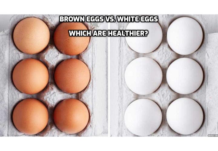 Brown Eggs vs. White Eggs – Which are healthier? Is there really a difference between brown eggs and white eggs? The answer is surprisingly simple. Read on to find out more.