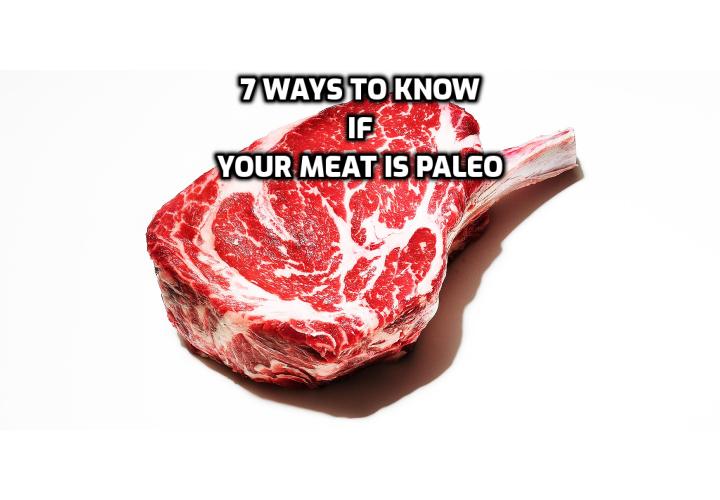 Studying our ancient ancestors has taught us that meat was our first staple food, and continues to be the most important part of our healthy diets. But as important as meat is to the Paleo diet, many newcomers to the Paleo lifestyle are doing it wrong. Want to know if your meat is Paleo? Here are 7 ways to know if your meat is paleo.