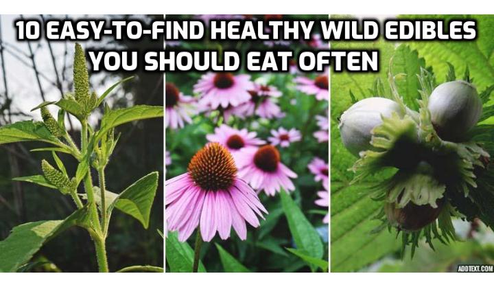 10 easy-to-find healthy wild edibles you should eat often.  To learn more on how to identify them and when they are in season in your area do a Google search or pick up a book or DVD on wild food foraging.