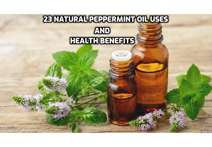 There are many other ways you can use peppermint oil, including using it as a natural bug repellent or as an easy way to freshen your breath (hello, DIY mints).  Read on to discover the 23 natural peppermint oil uses and benefits.