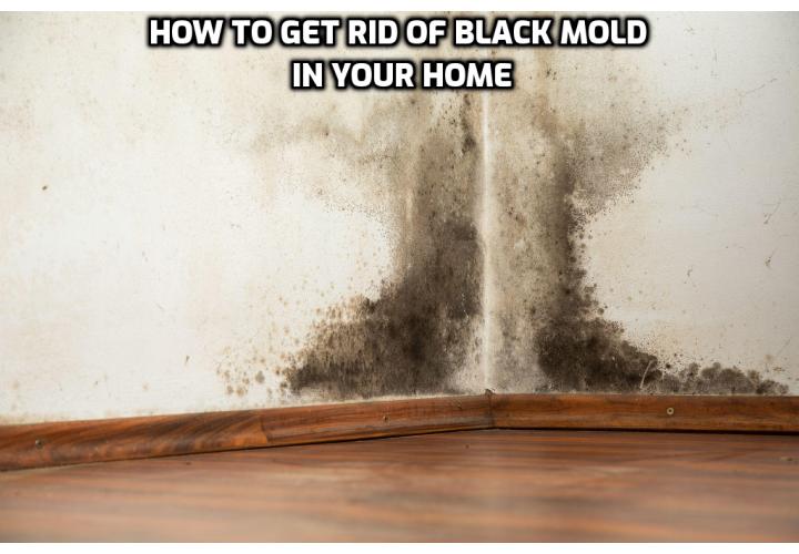 Finding or suspecting you have a black mold infestation in your home can often leave you with a feeling of panic. Just how toxic is black mold? Is getting rid of it expensive? Here is how to get rid of black mold in your home.