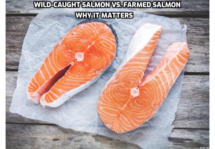 Wild-Caught Salmon vs. Farmed Salmon - Why It Matters? An honest look at the actual difference between wild and farmed salmon, the benefits of this popular dish and how to cook it to perfection with a one-pan salmon dinner recipe.