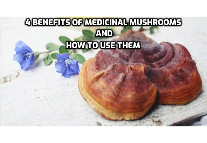 4 Benefits of Medicinal Mushrooms and How to Use Them. How to take medicinal mushrooms and where to find them? How medicinal mushrooms work for mind and body stress relief