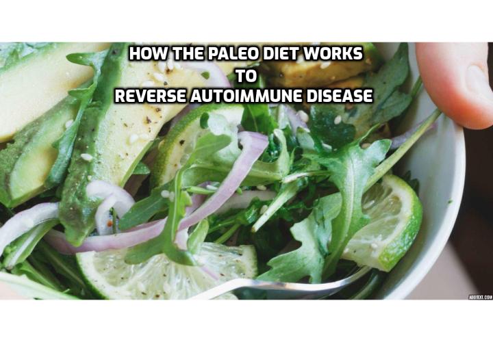 How the Paleo Diet Works to Reverse Autoimmune Disease? Autoimmune disorders can be triggered by a combination of genetics and lifestyle factors, like stress and poor eating habits. Discover how a Paleo diet can help heal and even reverse autoimmunity.
