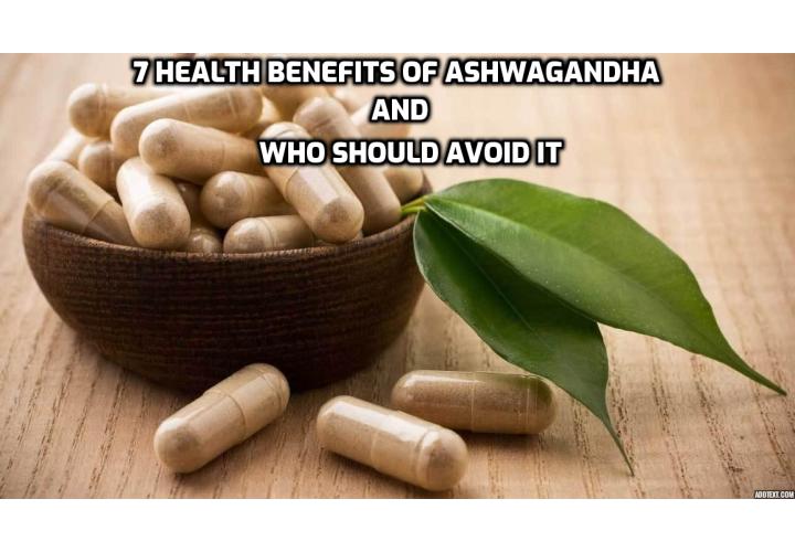 You already know that anxiety and burnout can sabotage both your mind and body. Even if you don’t feel stressed, your body may be relying on stress hormones to get you through the day. Fortunately, there are supplements that may provide stress relief and help you to relax. Read on for the 7 health benefits of ashwagandha and who should avoid it.
