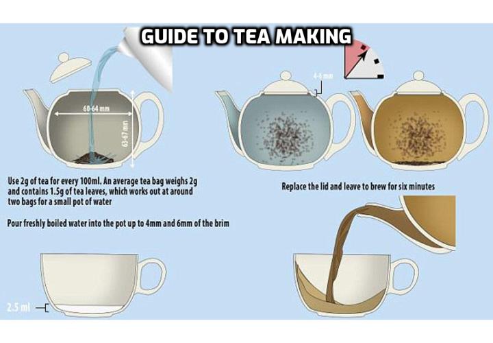 The guide to make the perfect cup of tea. Each variety of tea comes with its own unique set of benefits, as well as brewing instructions. In this guide, you’ll discover the unique benefits of the most popular teas, as well as how to brew them
