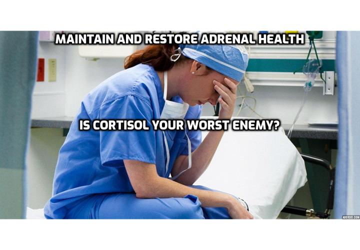 Maintain and Restore Adrenal Health - Is Cortisol Your Worst Enemy? Of all the hormones interacting within your body on a daily basis, cortisol may be the most familiar to you. It also may be the hidden element that is making you fat.