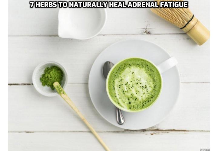 What is adrenal fatigue, signs and symptoms of adrenal fatigue, causes of adrenal fatigue. Read on here to learn about the 7 herbs to naturally heal adrenal fatigue when feeling anxious.