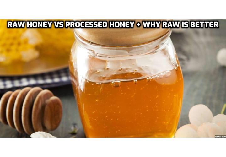 Raw Honey Vs Processed Honey + Why Raw is Better - Honey. It’s quite possibly one of the purest “Paleo” foods we have left today. Despite the sting that may come with obtaining a handful, we can be sure that raw honey has been harvested and used as a tonic and medicine for at least 8,000 years.
